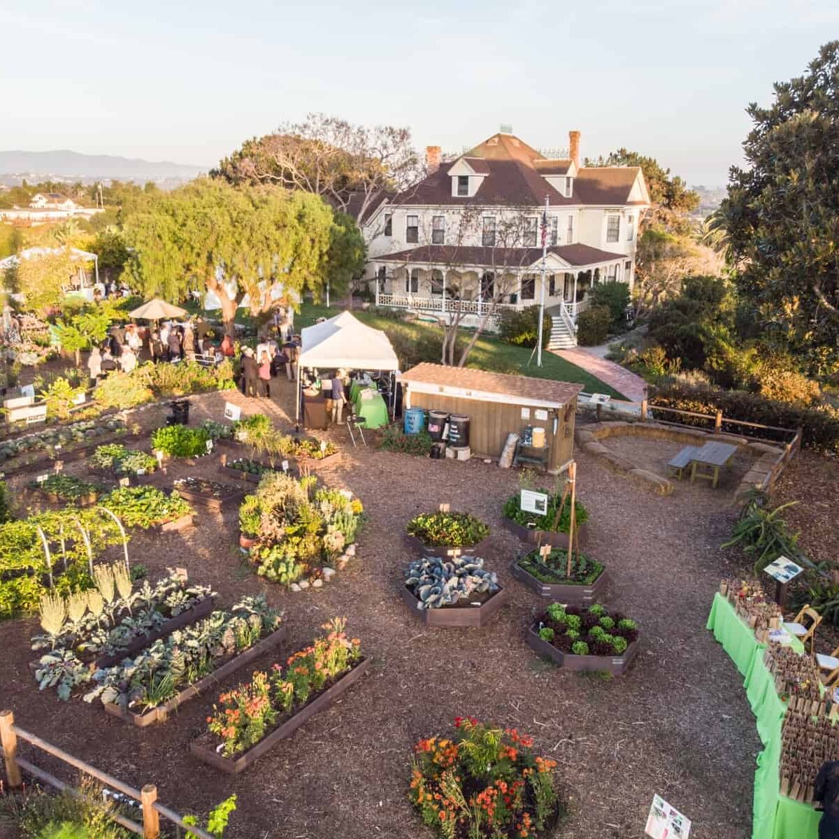 An aerial view of the Olivewood Gardens, including a large, white Victorian home and a sprawling garden space with raised flower beds and trees.